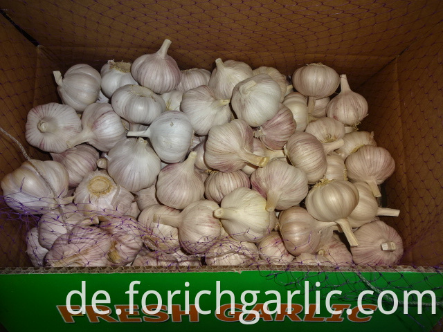 High Quality Normal White Garlic 2019